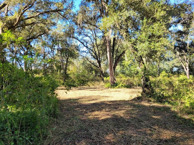 44150 County Road 54 E, Kathleen, FL 33849 - photo 25