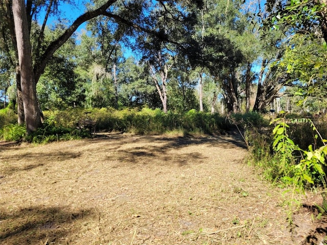 44150 County Road 54 E, Kathleen, FL 33849 - photo 26