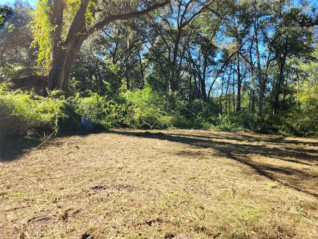 44150 County Road 54 E, Kathleen, FL 33849 - photo 27