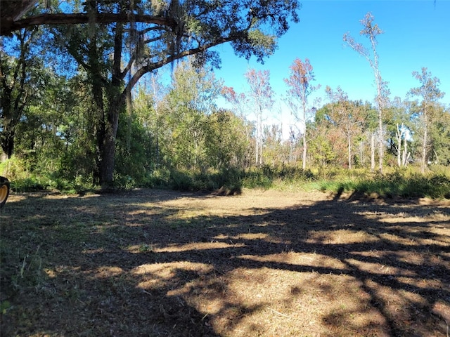 44150 County Road 54 E, Kathleen, FL 33849 - photo 28