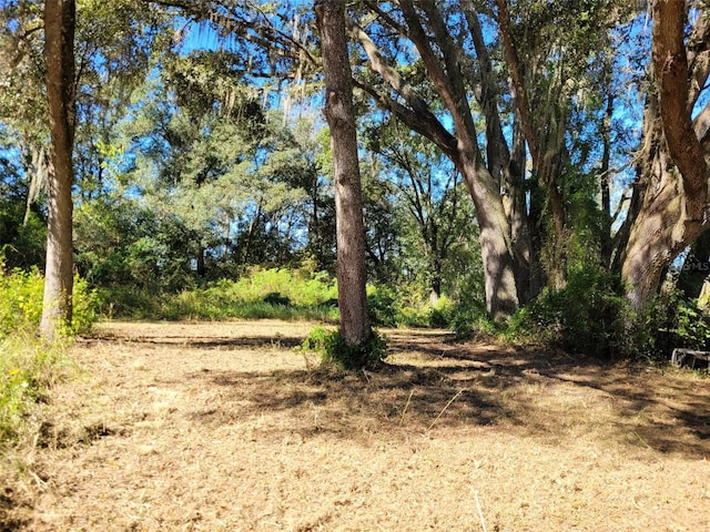 44150 County Road 54 E, Kathleen, FL 33849 - photo 29