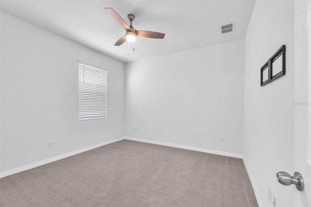 3113 Marine Grass Dr, Wimauma, FL 33598 - photo 13