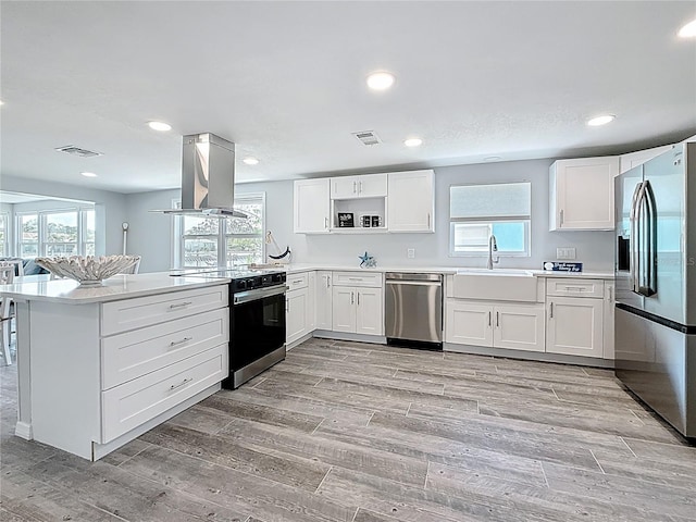 kitchen featuring a peninsula, ventilation hood, white cabinetry, a sink, and stainless steel appliances