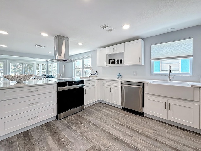 kitchen featuring stainless steel appliances, a sink, visible vents, and island range hood