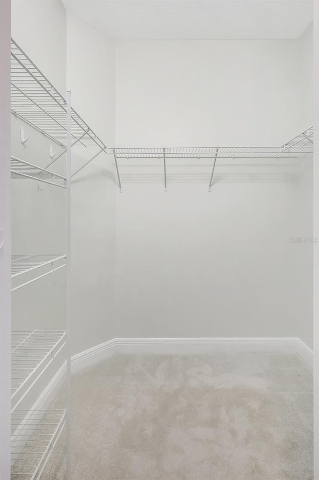 spacious closet with carpet