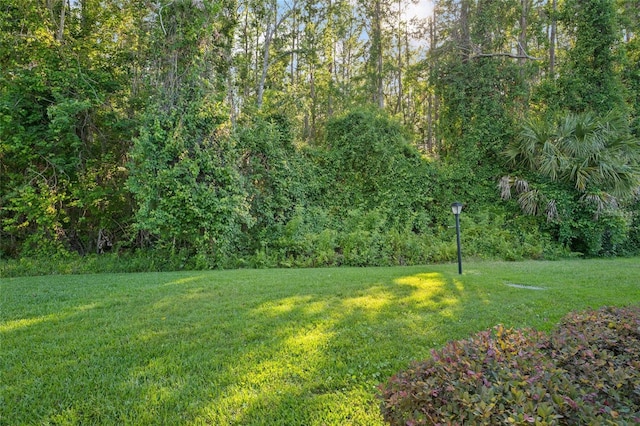 view of yard with a forest view
