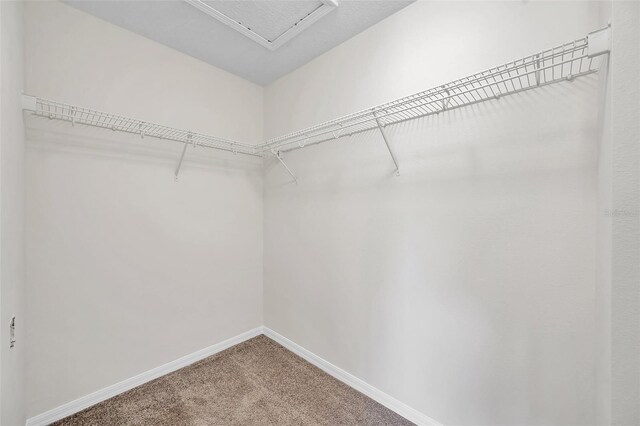 spacious closet featuring carpet floors and attic access