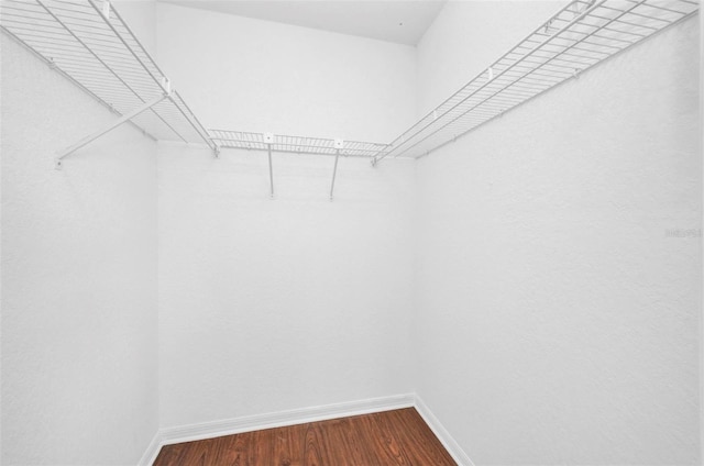 280 Fortaleza St, Punta Gorda, FL 33983 - spacious closet with dark wood-style flooring
