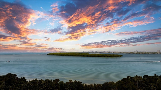 property view of water