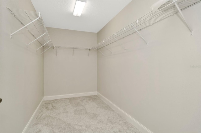 walk in closet with carpet floors