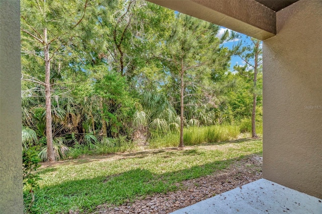 view of yard with a patio area