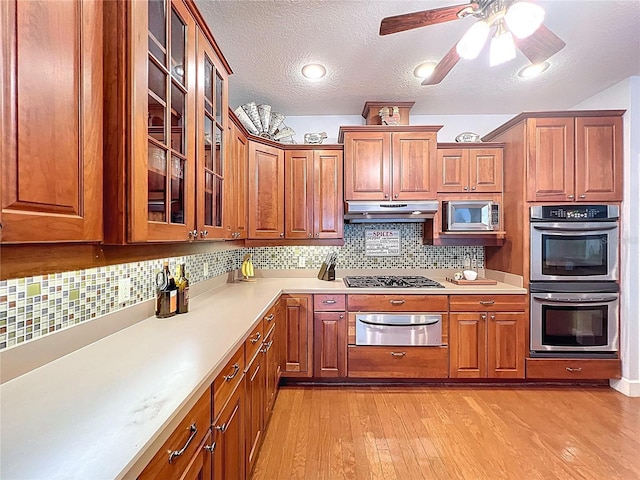 16224 Iola Woods Trl, Dade City, FL 33523 - kitchen featuring light countertops, under cabinet range hood, light wood-style flooring, appliances with stainless steel finishes, and a warming drawer