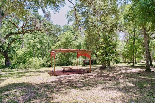 16224 Iola Woods Trl, Dade City, FL 33523 - view of yard