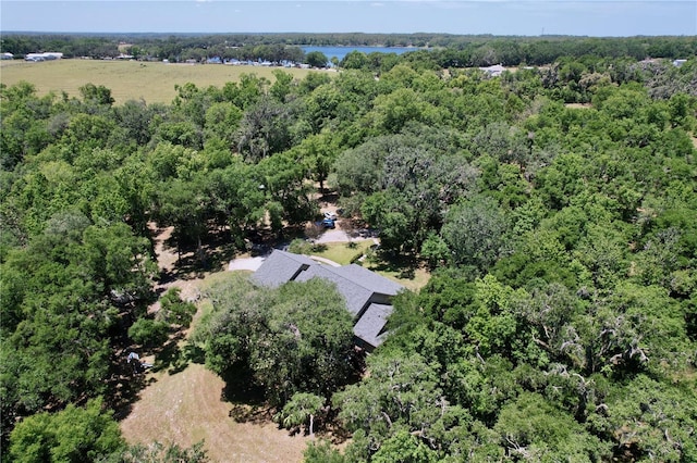 16224 Iola Woods Trl, Dade City, FL 33523 - birds eye view of property featuring a view of trees