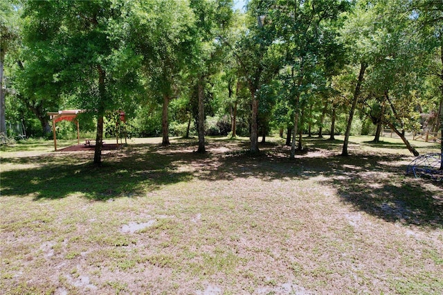 16224 Iola Woods Trl, Dade City, FL 33523 - view of yard