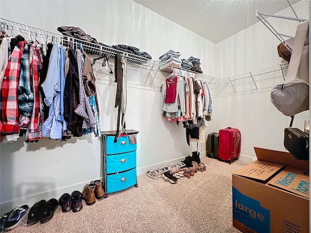 16224 Iola Woods Trl, Dade City, FL 33523 - walk in closet featuring carpet flooring