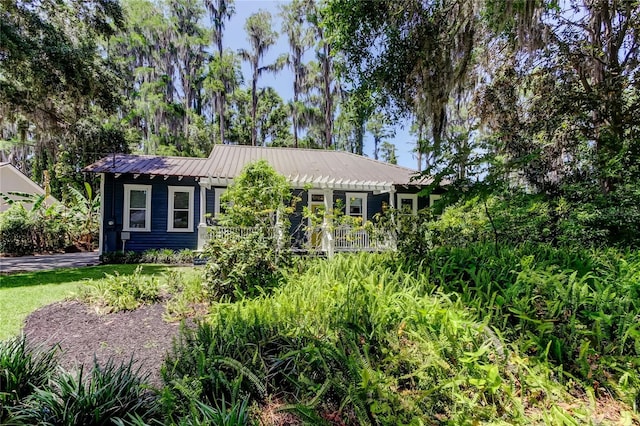 6341 Discovery Ln, Land O Lakes, FL 34638 - view of front of home with metal roof