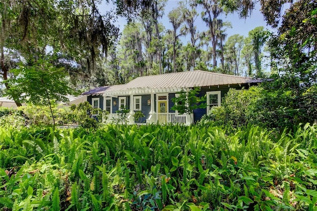 6341 Discovery Ln, Land O Lakes, FL 34638 - single story home featuring metal roof and covered porch