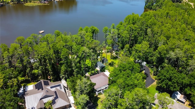 6341 Discovery Ln, Land O Lakes, FL 34638 - drone / aerial view of a nearby body of water