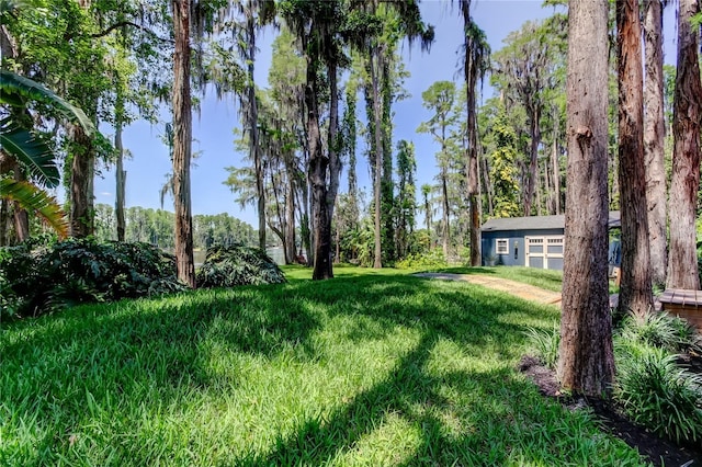6341 Discovery Ln, Land O Lakes, FL 34638 - view of grassy yard with an outbuilding and a garage