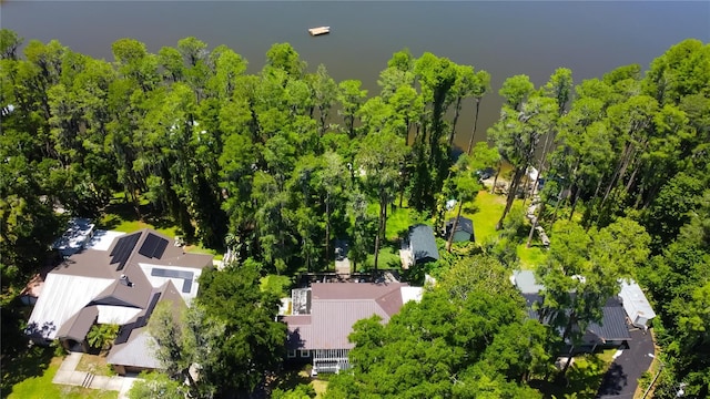 6341 Discovery Ln, Land O Lakes, FL 34638 - aerial view