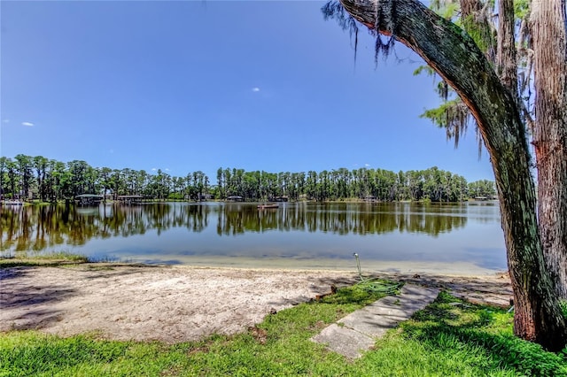 6341 Discovery Ln, Land O Lakes, FL 34638 - water view with a forest