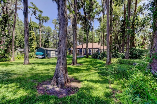 6341 Discovery Ln, Land O Lakes, FL 34638 - view of green lawn