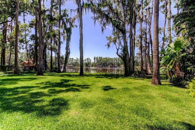 6341 Discovery Ln, Land O Lakes, FL 34638 - view of green lawn with a water view