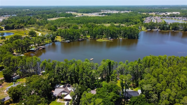 6341 Discovery Ln, Land O Lakes, FL 34638 - aerial view of a large body of water