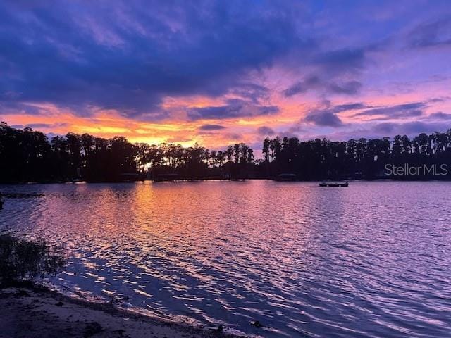 6341 Discovery Ln, Land O Lakes, FL 34638 - water view