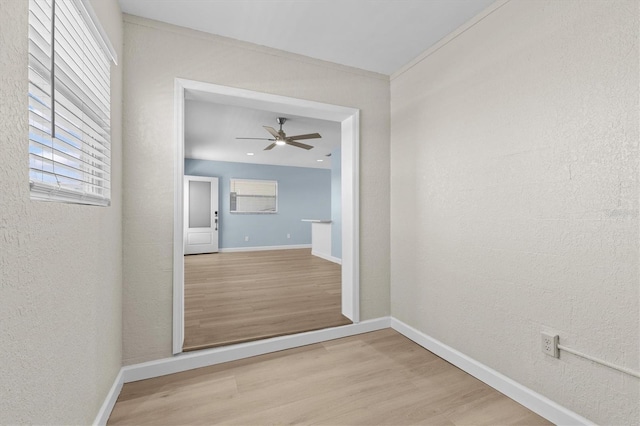 12400 Park Blvd Unit 210, Seminole, FL 33772 - spare room featuring light wood-style floors, baseboards, a ceiling fan, and a wealth of natural light