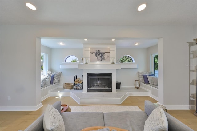 945 Bunker View Dr, Apollo Beach, FL 33572 - living room featuring recessed lighting, baseboards, a wealth of natural light, and a fireplace