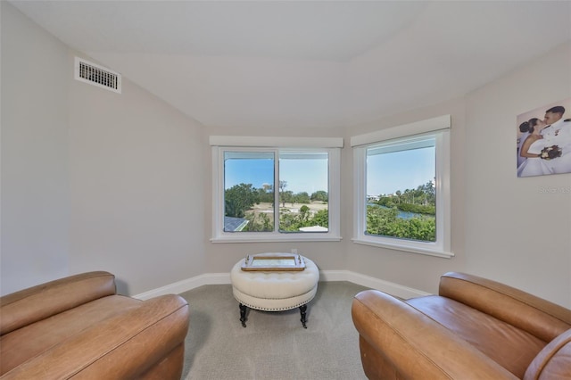 945 Bunker View Dr, Apollo Beach, FL 33572 - living area with carpet flooring, baseboards, and visible vents