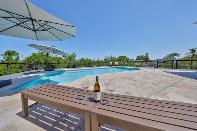 945 Bunker View Dr, Apollo Beach, FL 33572 - view of pool featuring a fenced in pool and a patio area