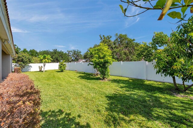 view of yard featuring a fenced backyard