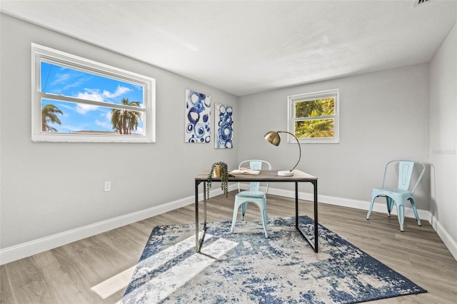 12700 5th Isle, Hudson, FL 34667 - office area featuring baseboards and wood finished floors