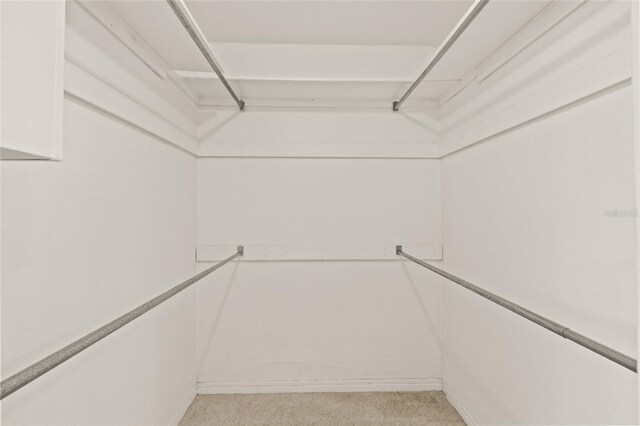 1141 80th Street Ct S, Saint Petersburg, FL 33707 - view of walk in closet