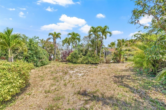 1141 80th Street Ct S, Saint Petersburg, FL 33707 - view of yard