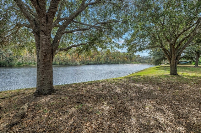 10506 Sky Flower Ct, Land O Lakes, FL 34638 - view of water feature