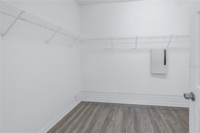 10506 Sky Flower Ct, Land O Lakes, FL 34638 - spacious closet featuring wood finished floors and electric panel