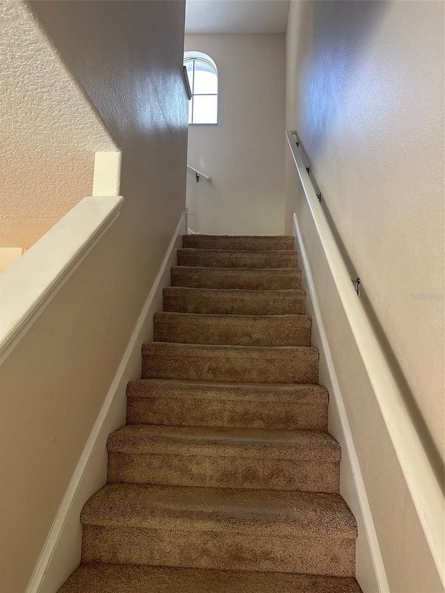 3132 Royal Tuscan Ln, Valrico, FL 33594 - photo 10