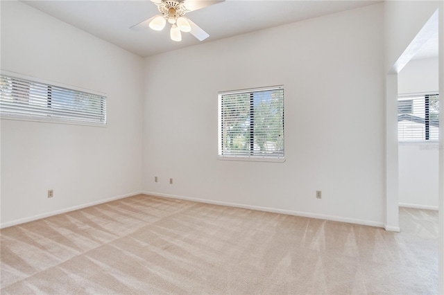 4802 W Dryad St, Tampa, FL 33629 - photo 23