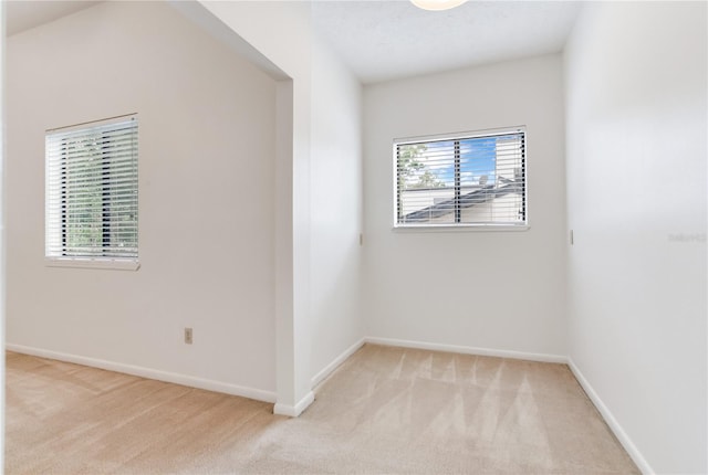 4802 W Dryad St, Tampa, FL 33629 - photo 25