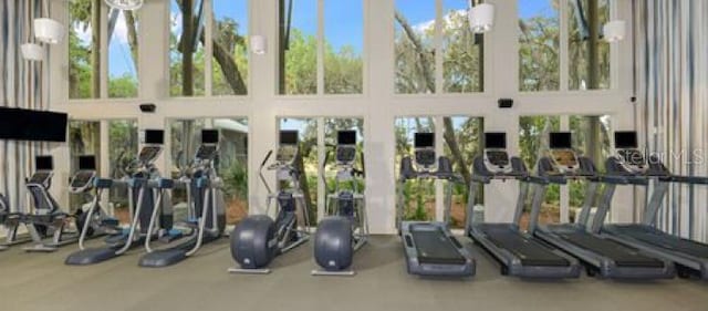 gym with a towering ceiling and plenty of natural light