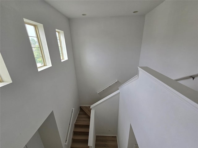 11839 Cross Vine Dr, Riverview, FL 33579 - photo 3
