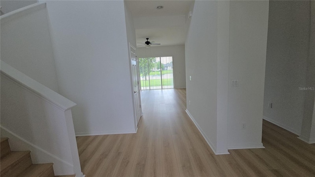 11839 Cross Vine Dr, Riverview, FL 33579 - photo 6