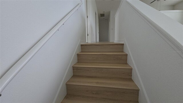 11839 Cross Vine Dr, Riverview, FL 33579 - photo 17
