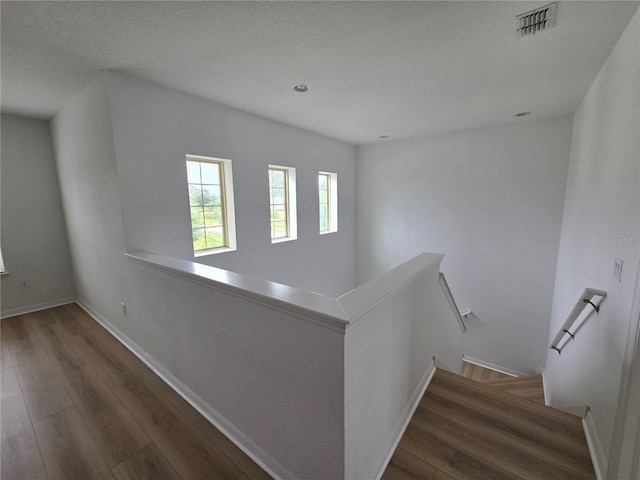 11839 Cross Vine Dr, Riverview, FL 33579 - photo 18