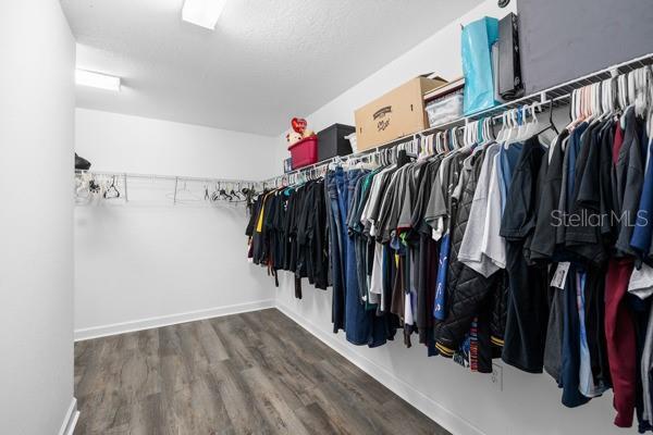 11760 Winterset Cove Dr, Riverview, FL 33579 - walk in closet with wood finished floors