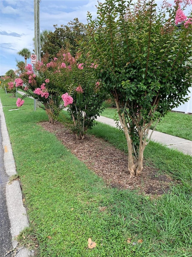 1799 N Highland Ave Unit 170, Clearwater, FL 33755 - view of grassy yard